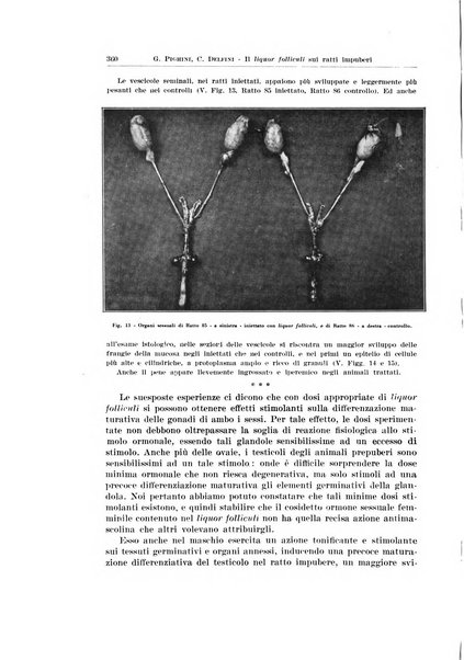 Endocrinologia e patologia costituzionale