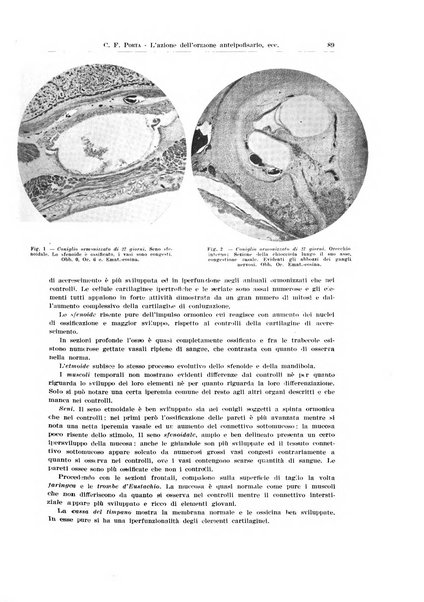 Endocrinologia e patologia costituzionale