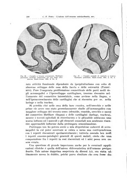 Endocrinologia e patologia costituzionale