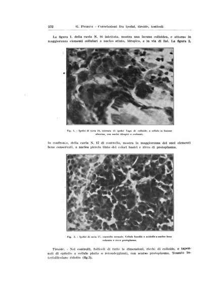 Endocrinologia e patologia costituzionale