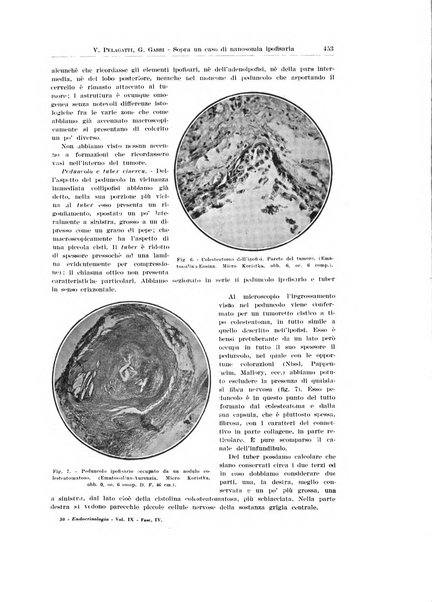 Endocrinologia e patologia costituzionale