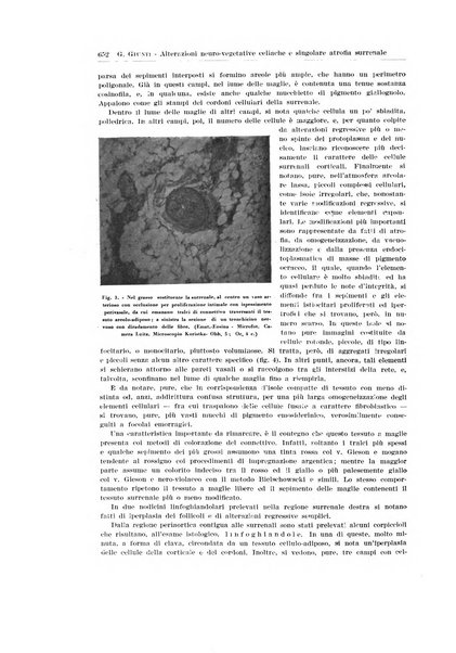 Endocrinologia e patologia costituzionale