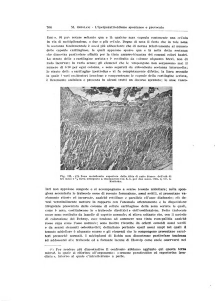 Endocrinologia e patologia costituzionale