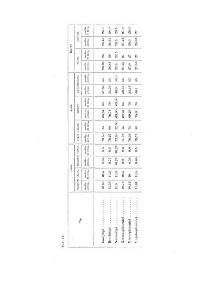 Endocrinologia e patologia costituzionale