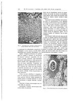 giornale/TO00183602/1935/unico/00000174
