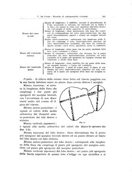 Endocrinologia e patologia costituzionale