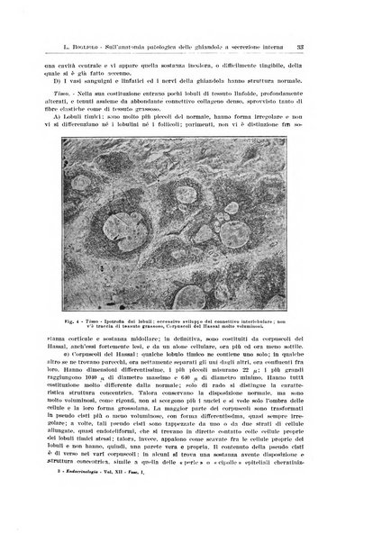 Endocrinologia e patologia costituzionale