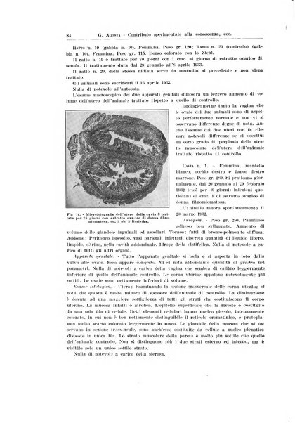 Endocrinologia e patologia costituzionale