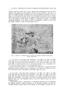 giornale/TO00183602/1936-1937/unico/00000201