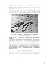 giornale/TO00183602/1936-1937/unico/00000202