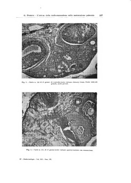 Endocrinologia e patologia costituzionale