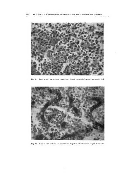 Endocrinologia e patologia costituzionale