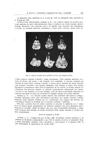 Endocrinologia e patologia costituzionale