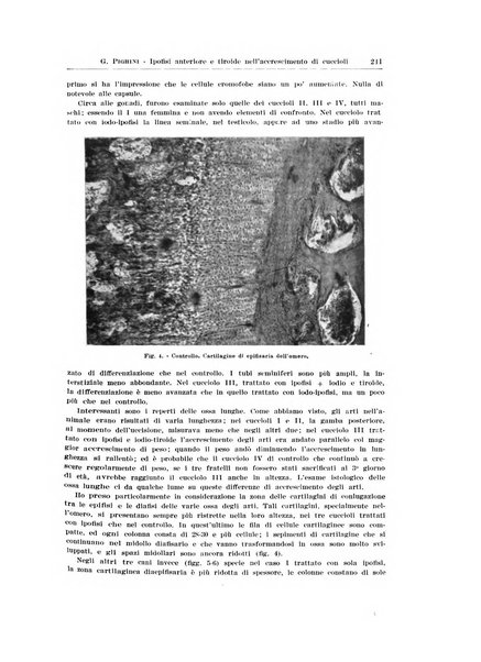 Endocrinologia e patologia costituzionale