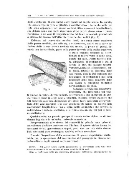 Endocrinologia e patologia costituzionale