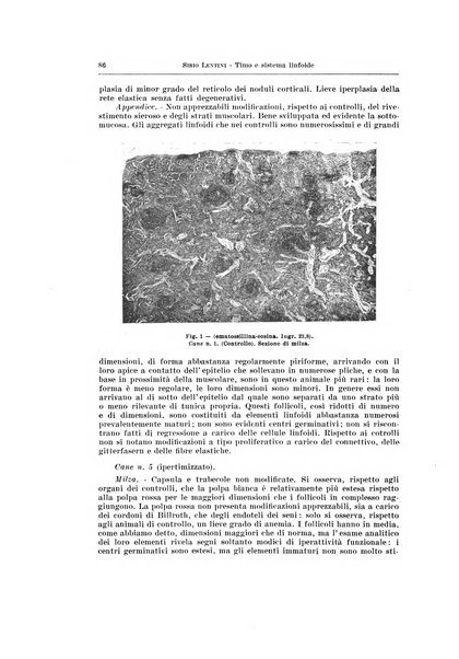 Endocrinologia e patologia costituzionale