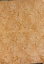 giornale/TO00183710/1922/unico/00000003