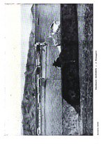 giornale/TO00183710/1925/unico/00000211