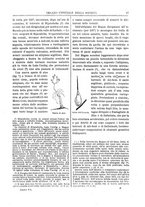 giornale/TO00183747/1882/unico/00000031