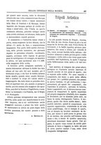 giornale/TO00183747/1882/unico/00000217