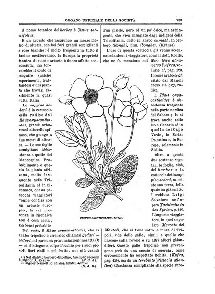 L'esploratore giornale di viaggi e di geografia commerciale