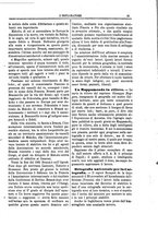 giornale/TO00183747/1886/unico/00000043