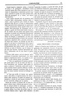 giornale/TO00183747/1886/unico/00000103