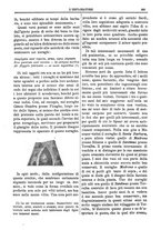 giornale/TO00183747/1886/unico/00000313