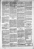 giornale/TO00184052/1872/Dicembre/15