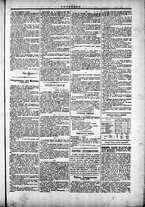 giornale/TO00184052/1873/Settembre/91