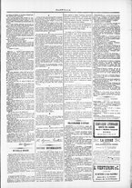 giornale/TO00184052/1874/Dicembre/23