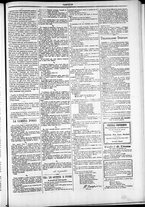 giornale/TO00184052/1876/Dicembre/31