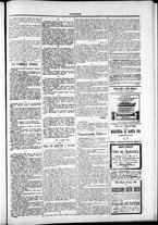 giornale/TO00184052/1876/Dicembre/63