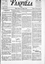 giornale/TO00184052/1876/Giugno/45