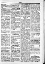 giornale/TO00184052/1878/Agosto/11