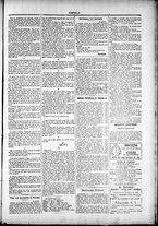 giornale/TO00184052/1878/Febbraio/3