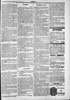 giornale/TO00184052/1878/Luglio/11