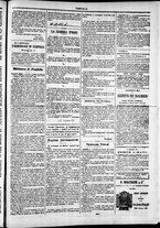giornale/TO00184052/1878/Luglio/35