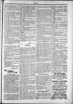 giornale/TO00184052/1878/Novembre/31
