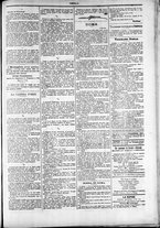 giornale/TO00184052/1879/Febbraio/19