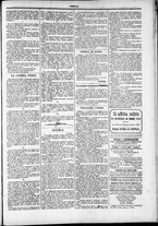 giornale/TO00184052/1879/Febbraio/31