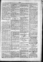 giornale/TO00184052/1879/Febbraio/55