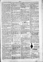 giornale/TO00184052/1879/Febbraio/63