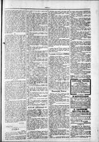 giornale/TO00184052/1879/Giugno/31