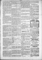 giornale/TO00184052/1880/Febbraio/23