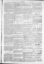 giornale/TO00184052/1880/Febbraio/31
