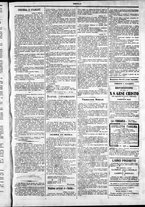 giornale/TO00184052/1880/Febbraio/67