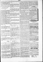 giornale/TO00184052/1881/Dicembre/75
