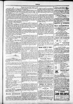 giornale/TO00184052/1881/Febbraio/83