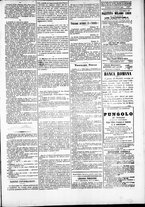 giornale/TO00184052/1881/Marzo/51